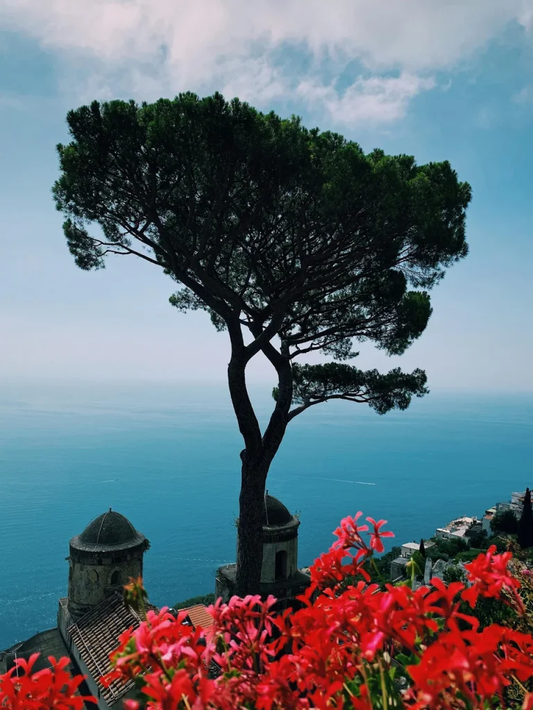 Ravello Comfort - B&B - Suite - Amalficoastlovers