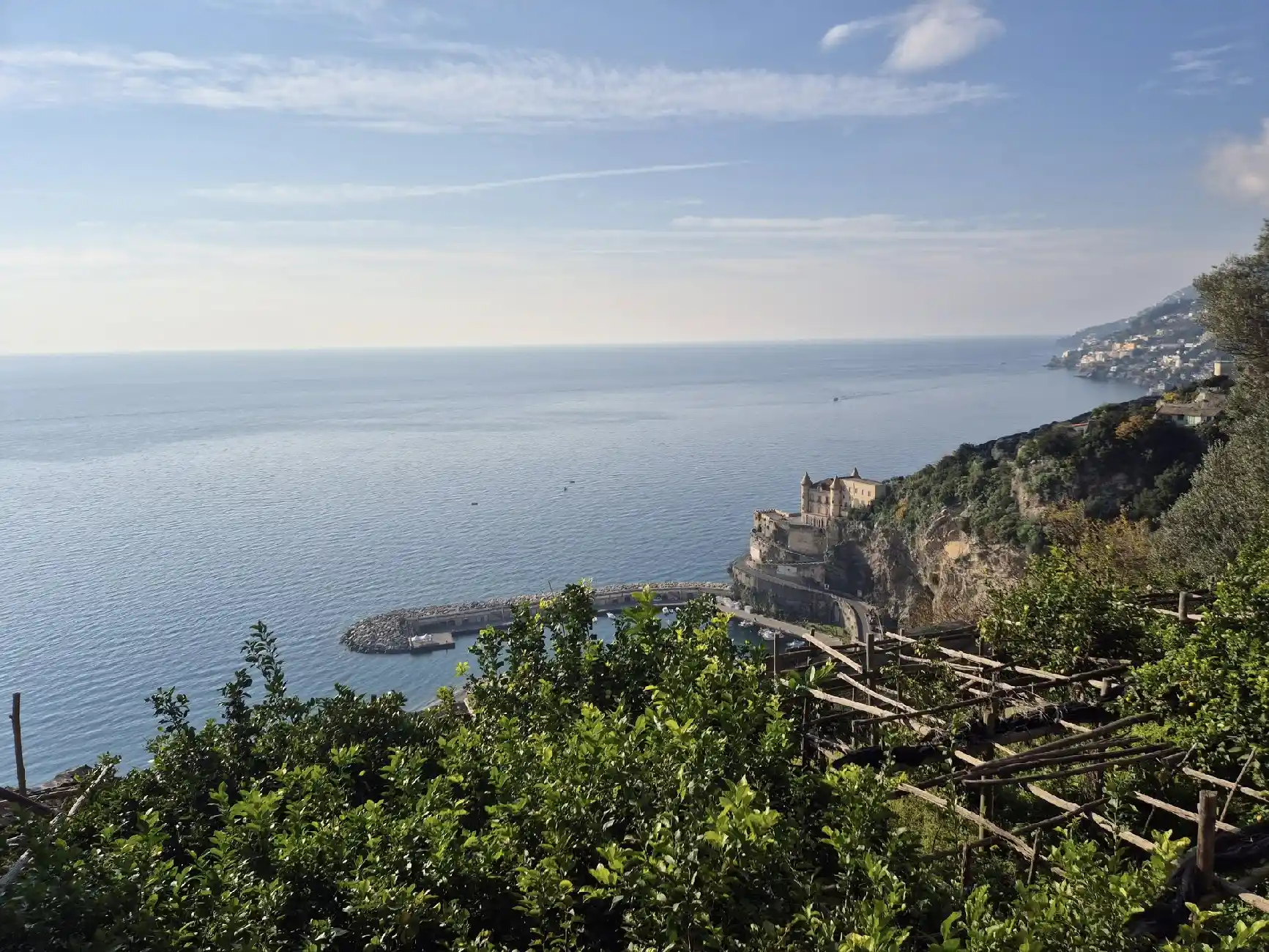 Limone Costa d'Amalfi in primo piano